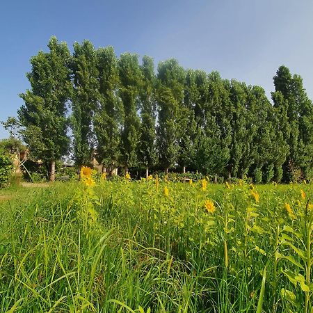 Fattoria Il Giardo Apartamento Pietrasanta Exterior foto