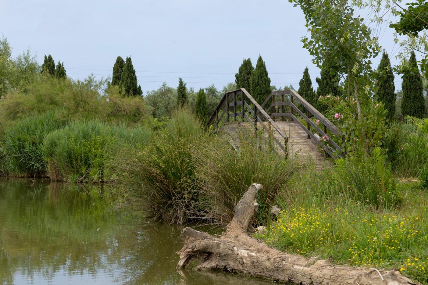 Fattoria Il Giardo Apartamento Pietrasanta Exterior foto
